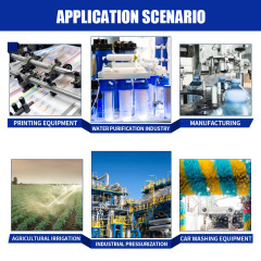 Booster Self-Priming Diaphragm Pump and Electric Water Pumps