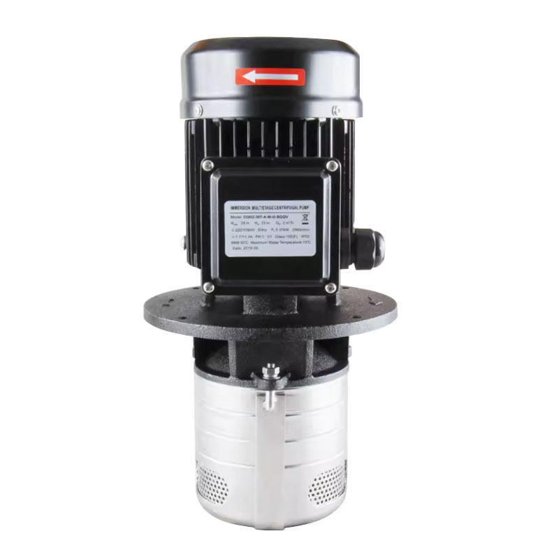 Stainless Steel Multi Stage Centrifugal Pumps Booster Pumps