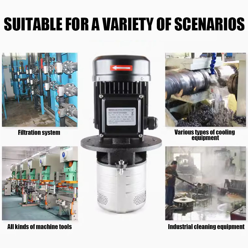 Stainless Steel Multi Stage Centrifugal Pumps Booster Pumps