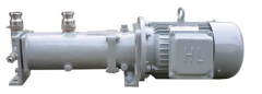 Marine Single-Screw Pump