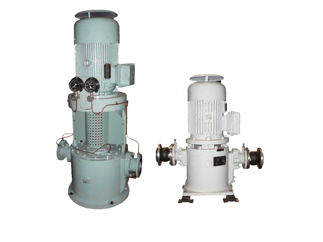 Marine Vertical Self-priming Centrifugal Pump