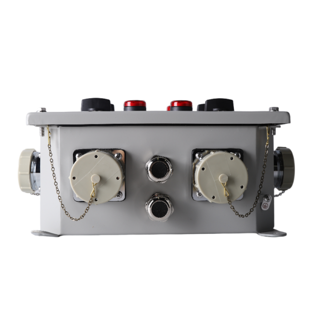 CZKX-4 Marine Cargo Hold Light Socket Box | IP56 Waterproof | 250V 10A | CCS Certified