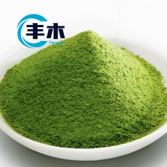 China manufacturer supply Copper Pyrithione CAS 14915-37-8 CPT-97