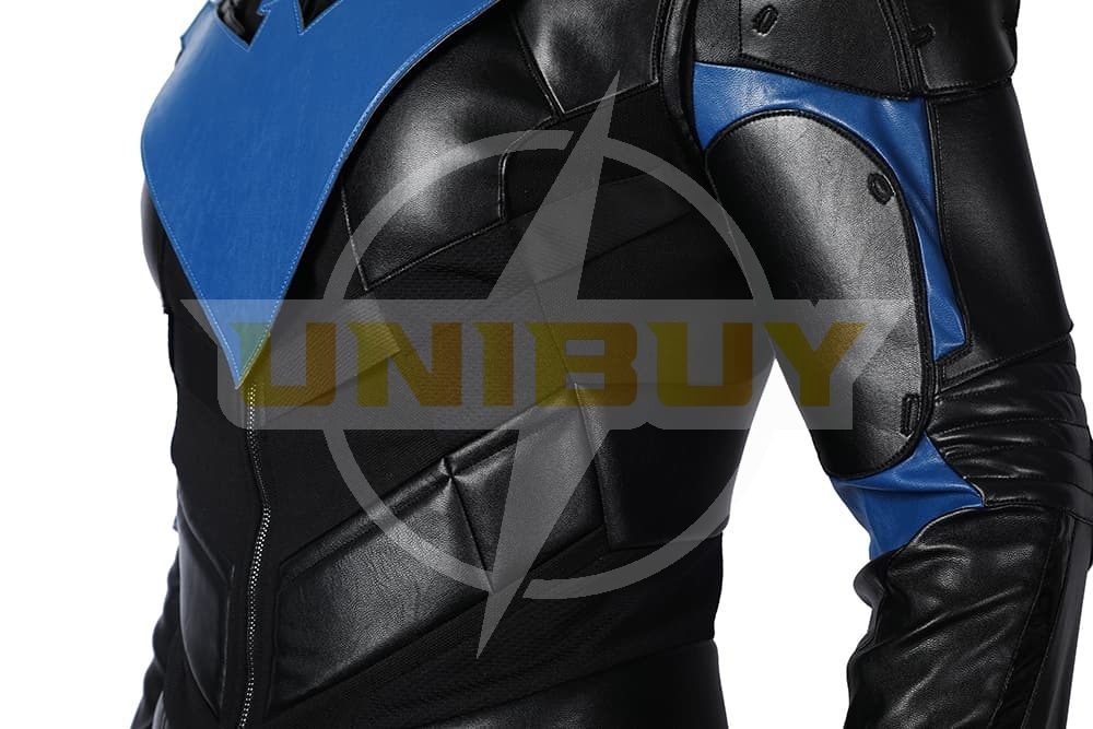 Batman: Gotham Knight Nightwing Costume Cosplay Suit Unibuy
