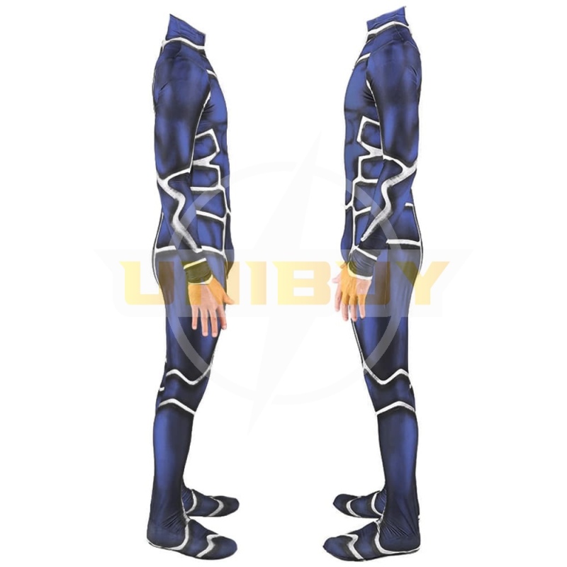 Fate/Stay Night Lancer Cú Chulainn Costume Cosplay Suit Unibuy