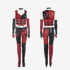 Batman Arkham City Harley Quinn Costume Cosplay Suit