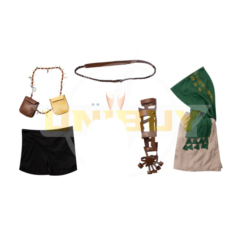 The sequel to The Legend of Zelda: Breath of the Wild Link Costume Cosplay Suit Unibuy