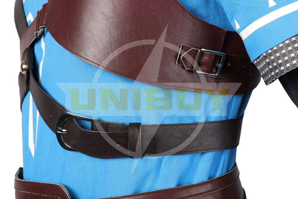 The Legend of Zelda Link Costume Cosplay Suit Tears of the Kingdom Unibuy