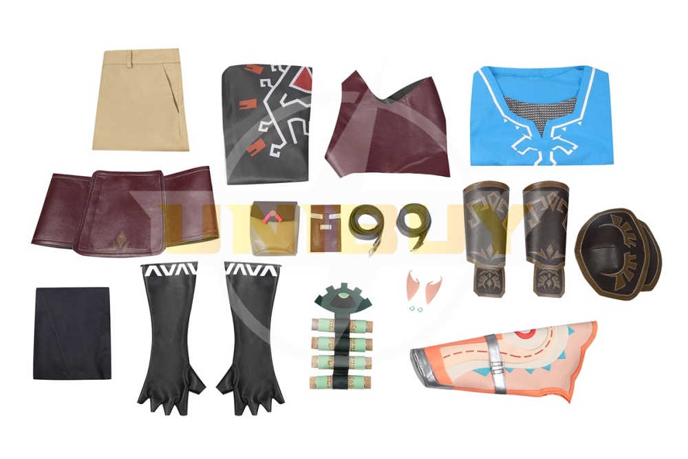 The Legend of Zelda Link Costume Cosplay Suit Tears of the Kingdom Unibuy