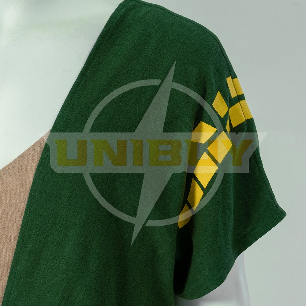 The Legend of Zelda: Tears of the Kingdom Link Costume Cosplay Suit Outfit Ver3