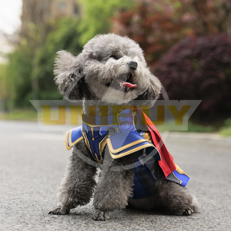 Avengers Thor Pet Clothes Costume Cosplay Gift Puppy Cat Big Dog Unibuy