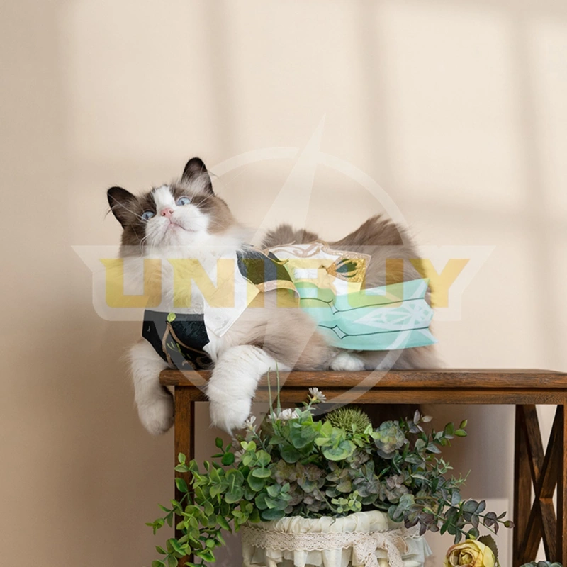 Genshin Impact Nahida Pet Clothes Costume Cosplay Gift Puppy Cat Big Dog Unibuy