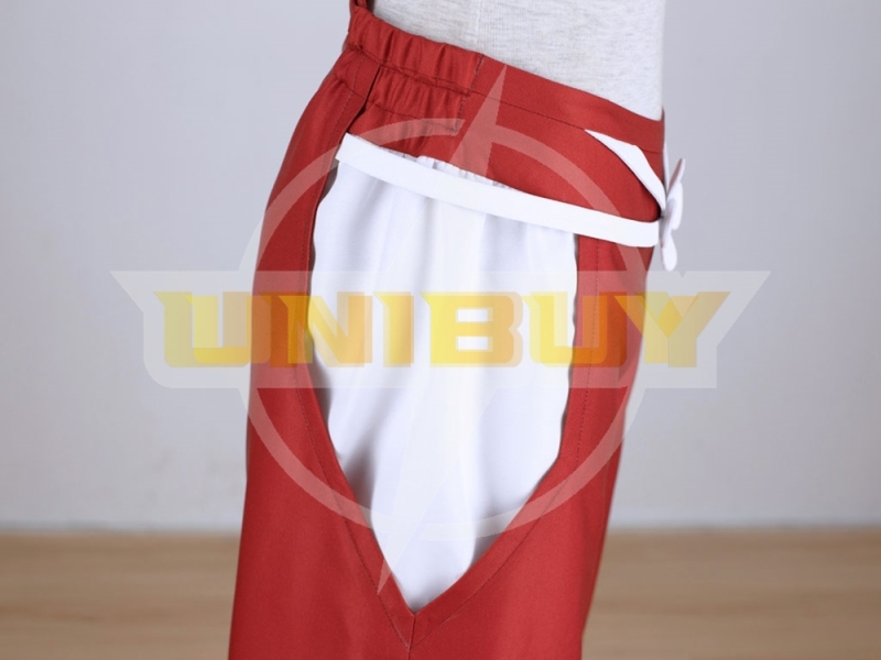 FAIRY TAIL Erza Scarlet Costume Cosplay Suit Unibuy