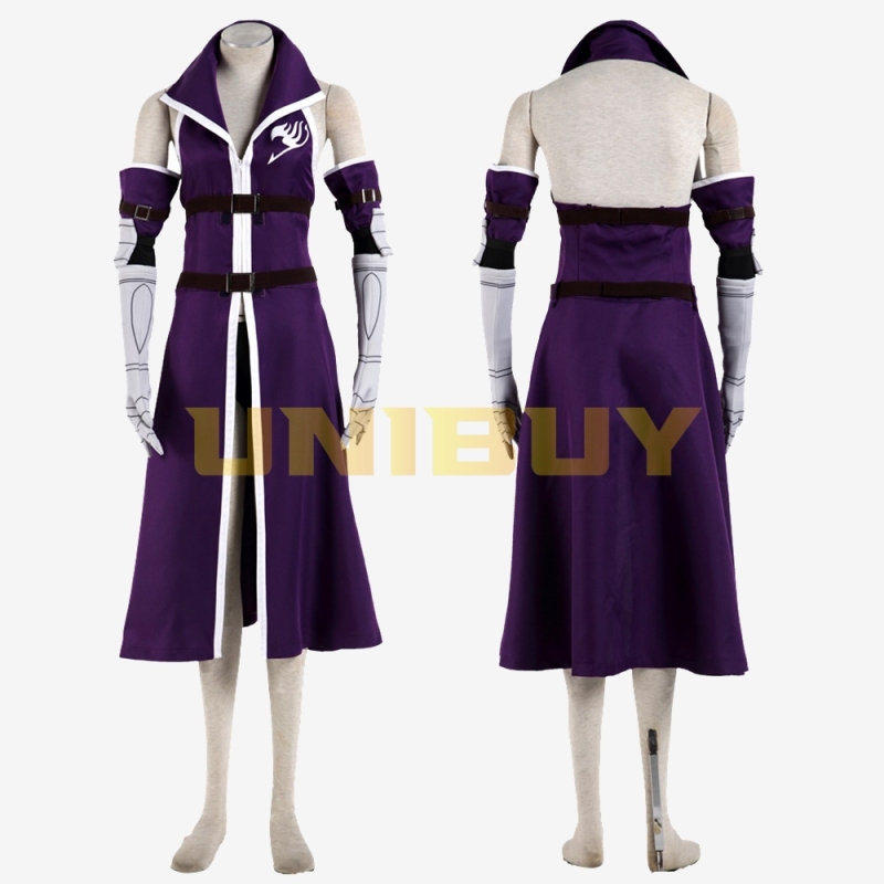 FAIRY TAIL Erza Scarlet Costume Cosplay Suit Unibuy