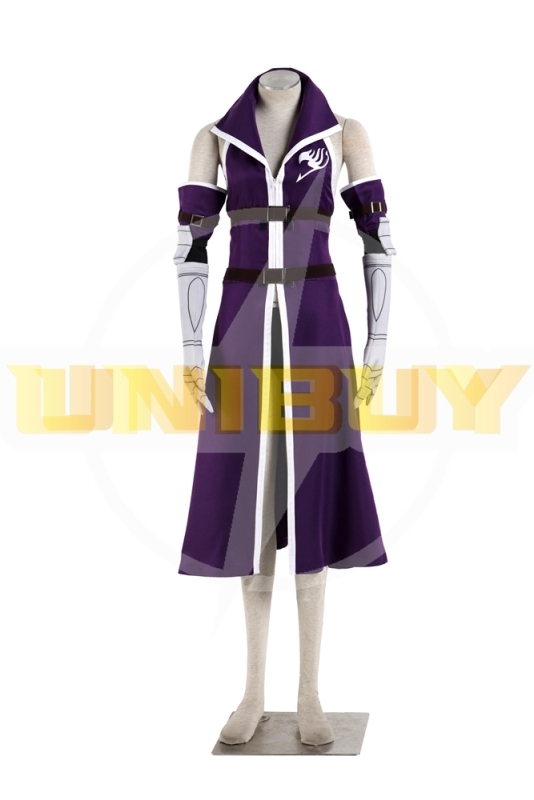 FAIRY TAIL Erza Scarlet Costume Cosplay Suit Unibuy