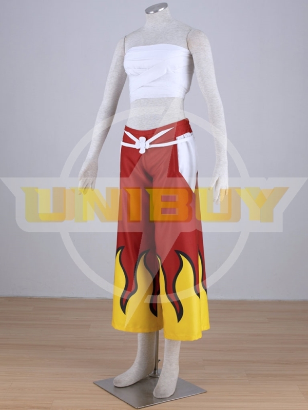 FAIRY TAIL Erza Scarlet Costume Cosplay Suit Unibuy