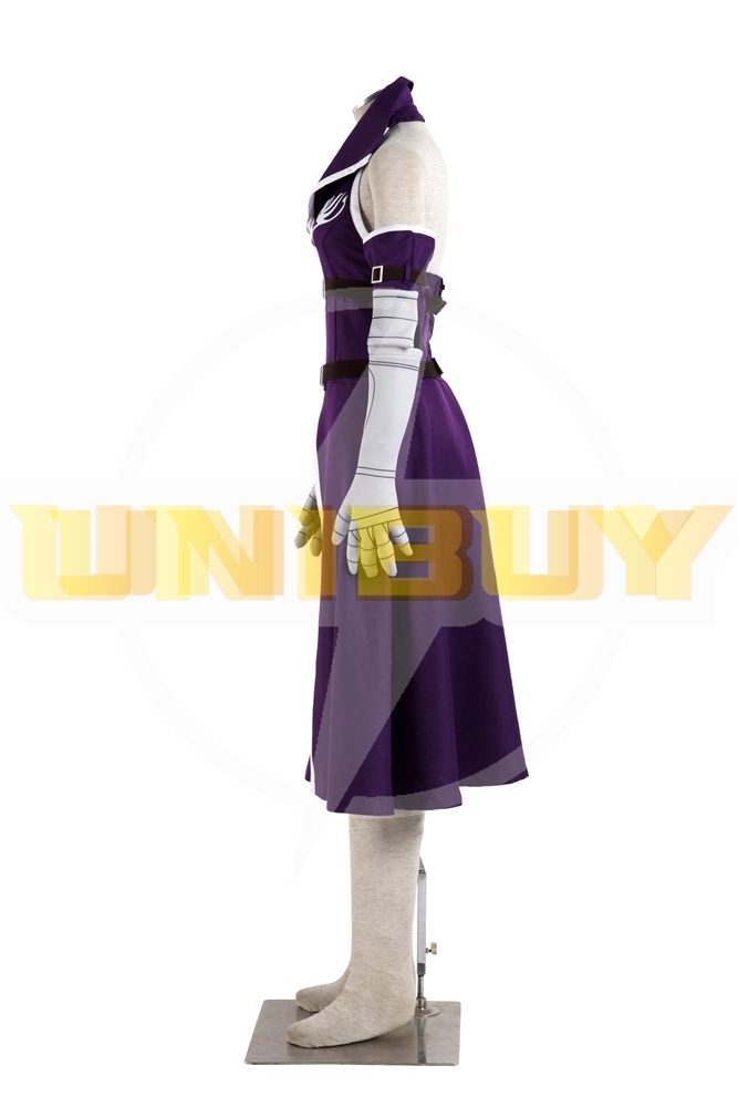FAIRY TAIL Erza Scarlet Costume Cosplay Suit Unibuy