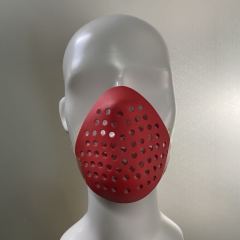 Faceshell