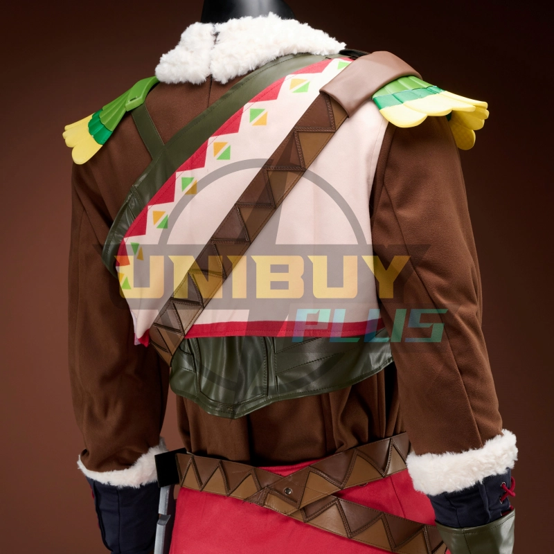 The Legend of Zelda Tears of the Kingdom Link Costume Cosplay Suit Snowquill Set Unibuyplus