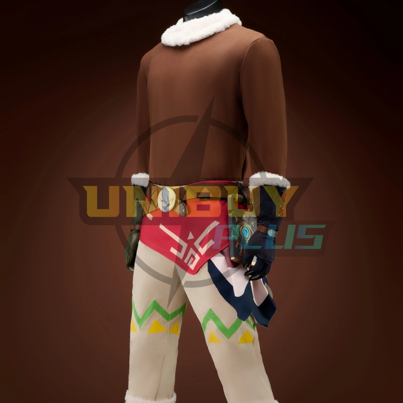 The Legend of Zelda Tears of the Kingdom Link Costume Cosplay Suit Snowquill Set Unibuyplus