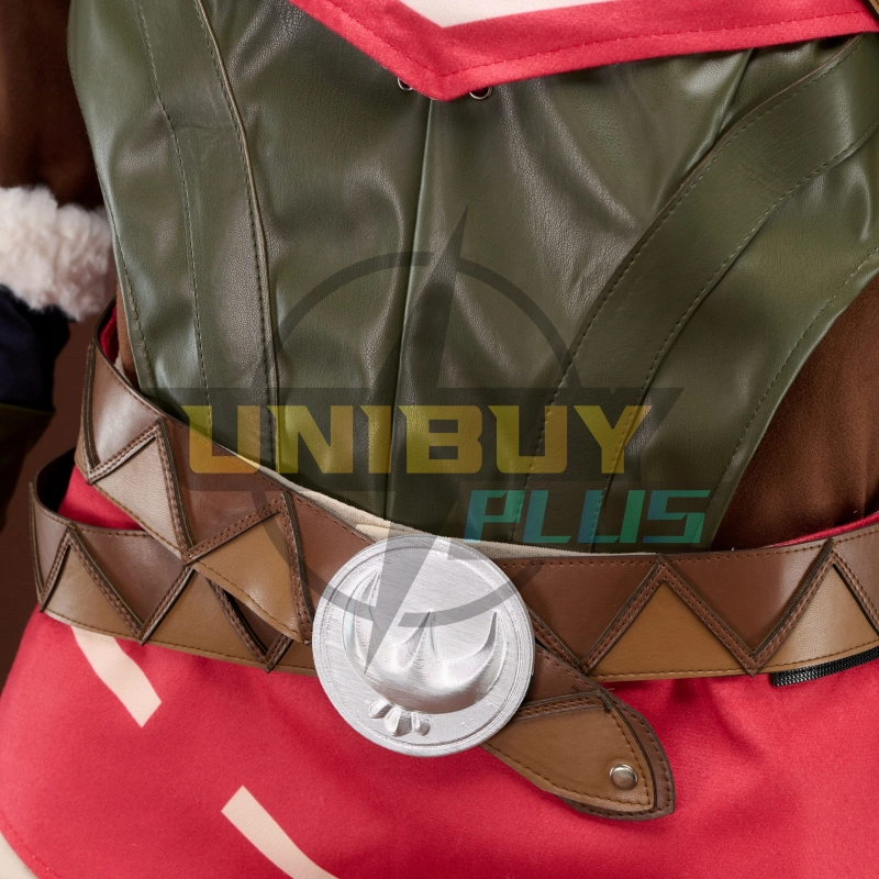 The Legend of Zelda Tears of the Kingdom Link Costume Cosplay Suit Snowquill Set Unibuyplus
