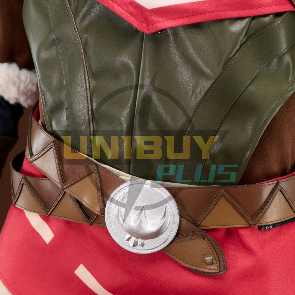 The Legend of Zelda Tears of the Kingdom Link Costume Cosplay Suit Snowquill Set Unibuyplus