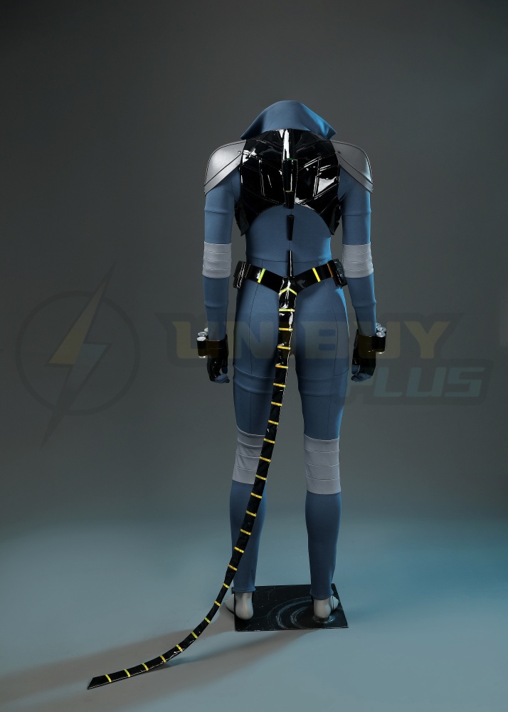 DC Absolute Universe Comics Absolute Catwoman Costume Cosplay Suit Unibuyplus