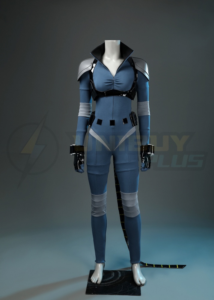 DC Absolute Universe Comics Absolute Catwoman Costume Cosplay Suit Unibuyplus