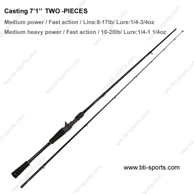 IM12 nano casting rod
