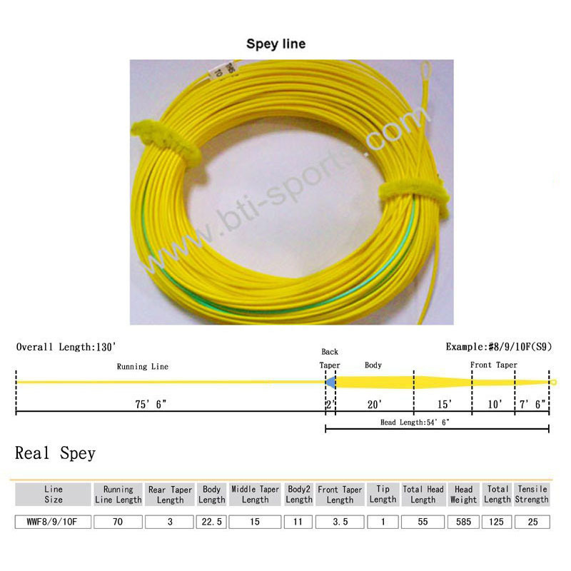 Spey line