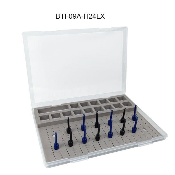 BTI-09A-H24 Transparent Collection Plastic Fly Box