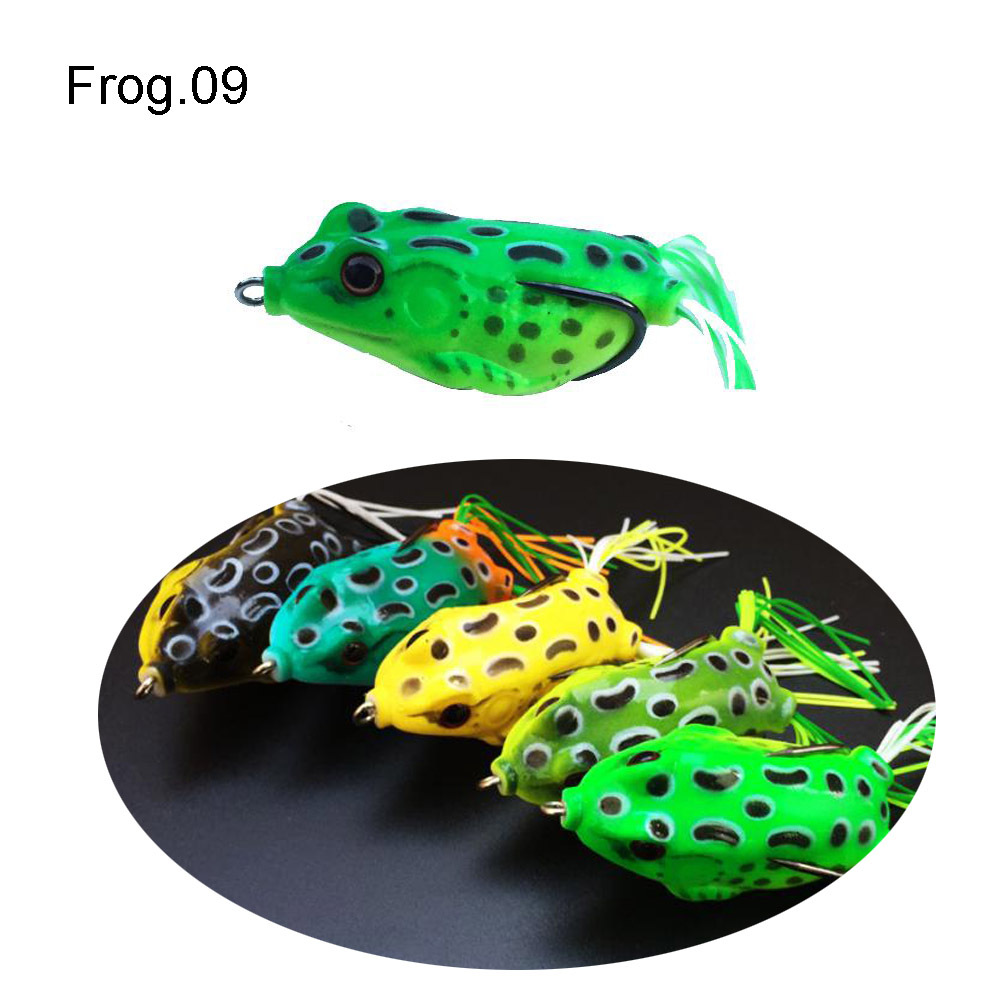 Frog 09