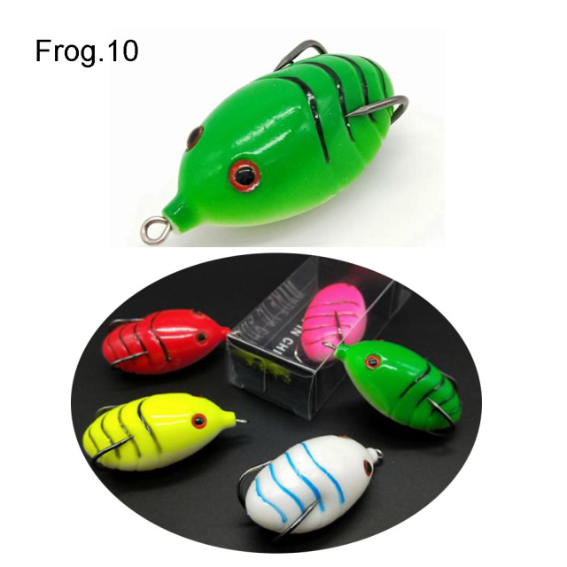 Frog 10