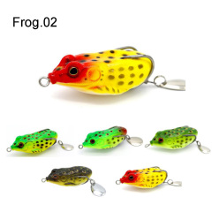 Frog 02