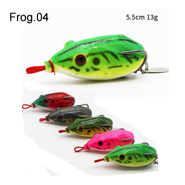 Frog 04