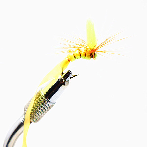 BTI-09D-5011 Scud Back
