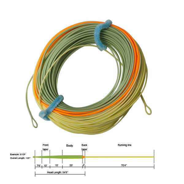 Spey line II