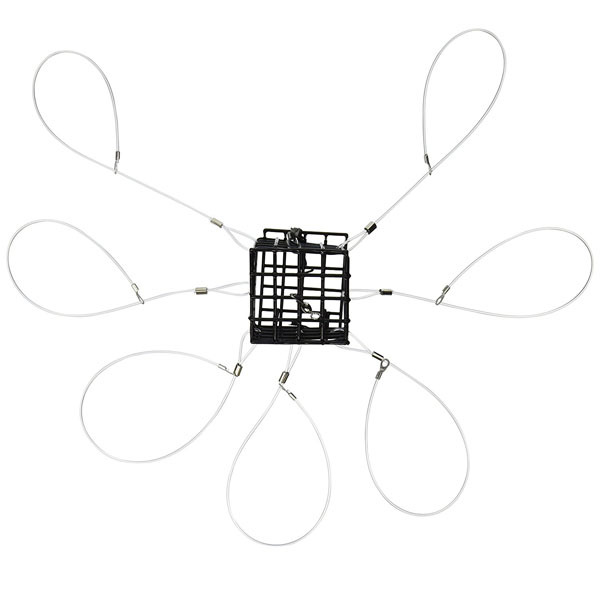loop crab snare