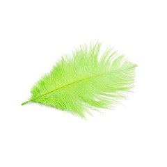 BTI-09D-4002: Ostrich Feather