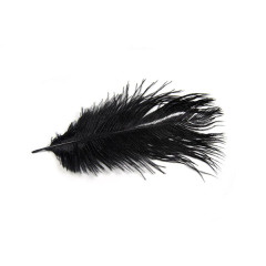 BTI-09D-4002: Ostrich Feather