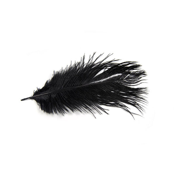 BTI-09D-4002: Ostrich Feather