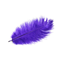 BTI-09D-4002: Ostrich Feather