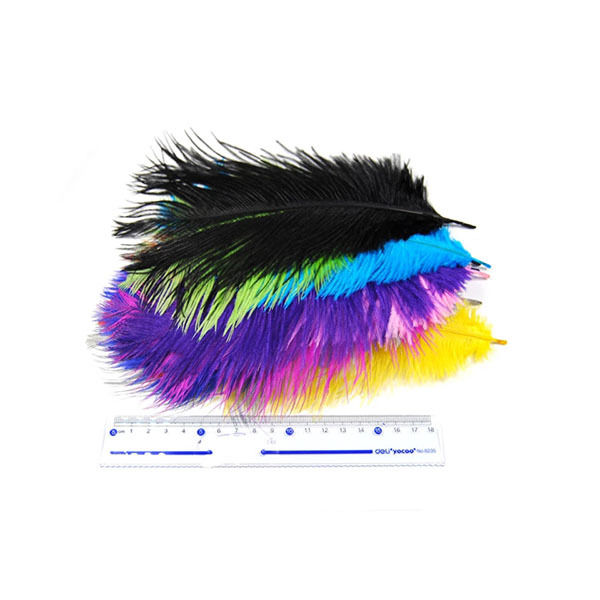 BTI-09D-4002: Ostrich Feather