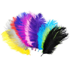 BTI-09D-4002: Ostrich Feather