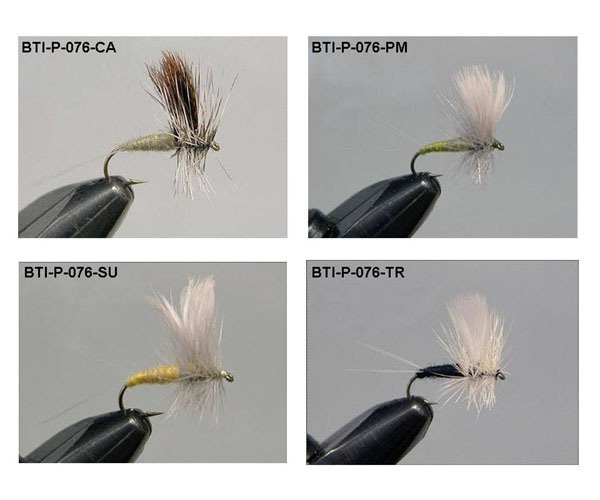 Dry Flies(7)