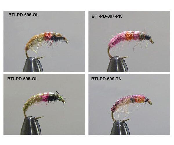 Czech nymphs(1)