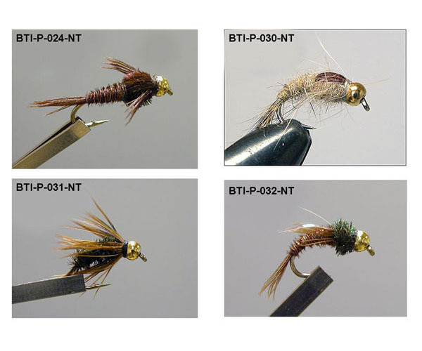 Goldheads(6)