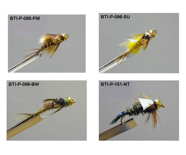 Goldheads(10)
