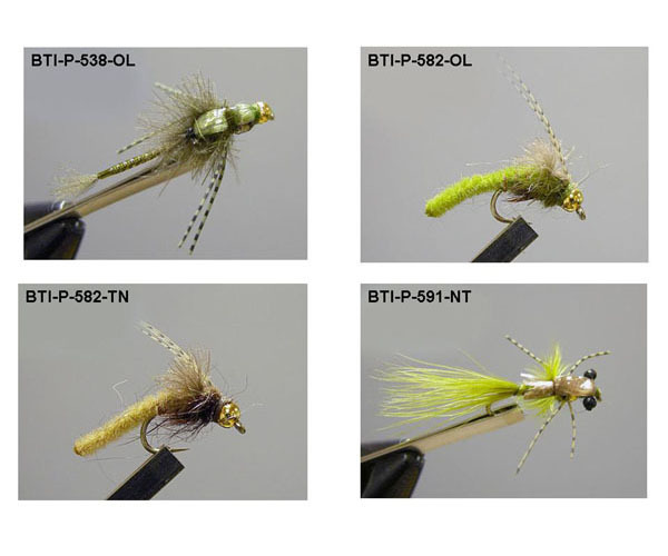Goldheads(13)