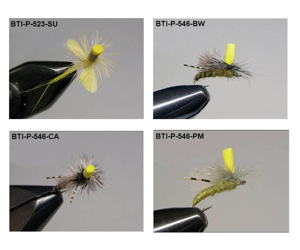 Dry Flies(20)